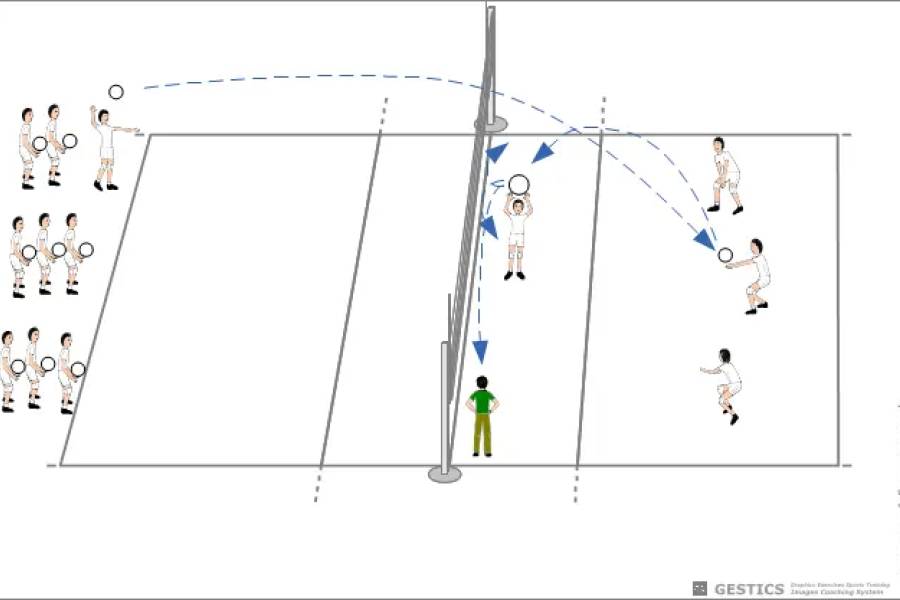 VOLLEYBALL - No. 2016 - Service and reception with set up in the center, wing and opposite, based on where the coach is positioned